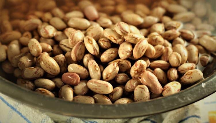 bowl of soaked romano beans