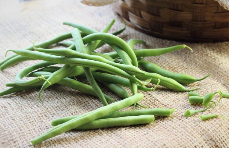 pile of green beans trimmed 
