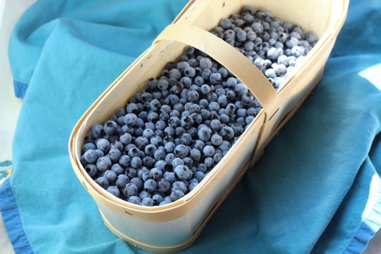 basket filled with blueberries on blue dish cloth