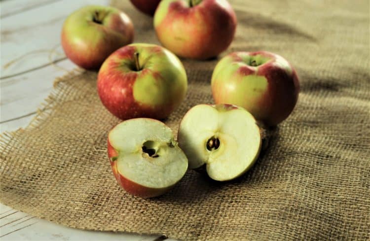 cortland apples on burlap cloth with 1 apple cut in half