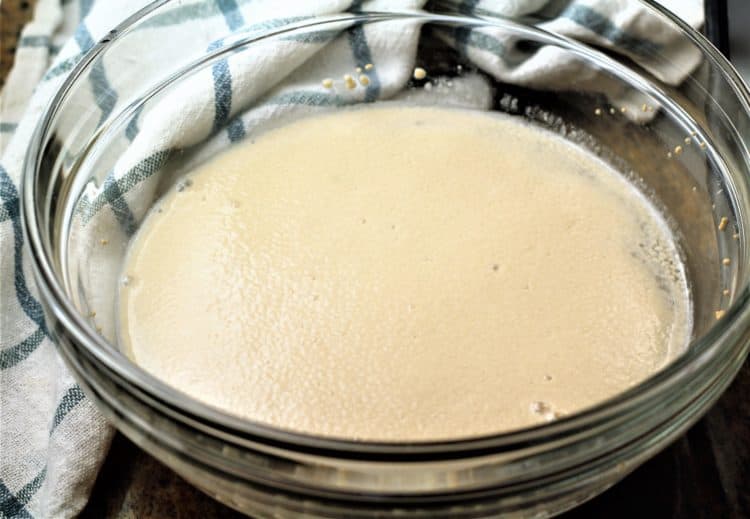 bowl of foaming yeast