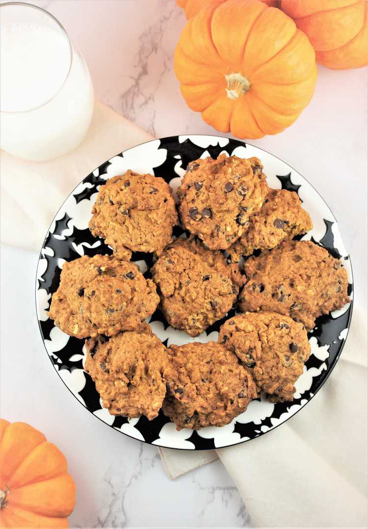 black and white plate with pumpkin oatmeal chocolate chip cookies, glass of milk and mini pumpkins 