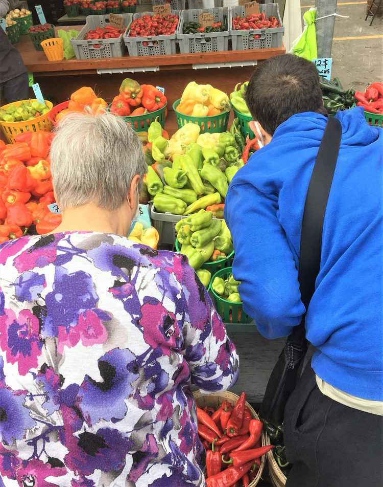 nonna and grandson at market choosing peppers