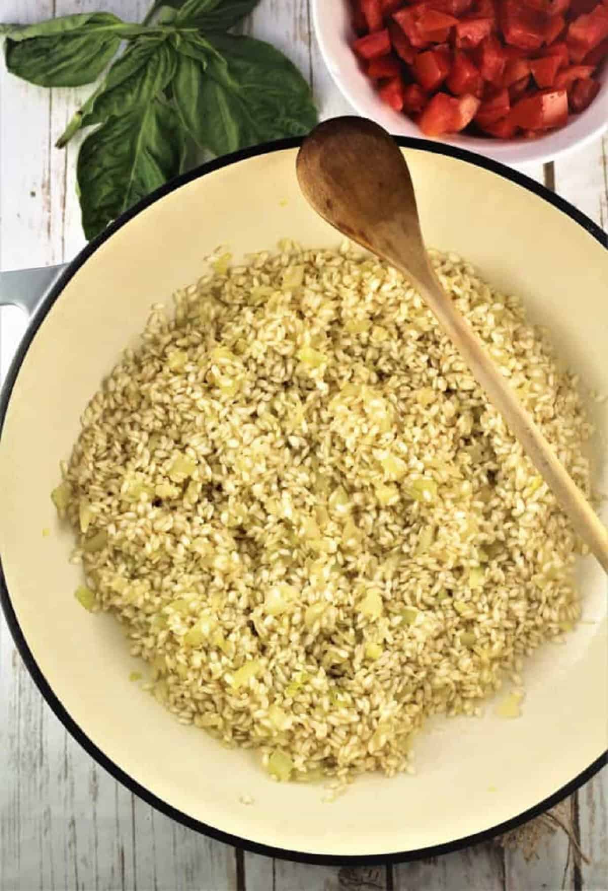 Onion and arborio rice in skillet for tomato and basil risotto.