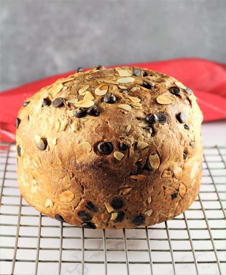 baked panettone cooling on wire rack