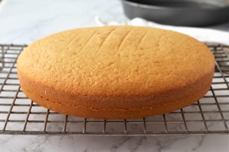 round sponge cake on wire rack