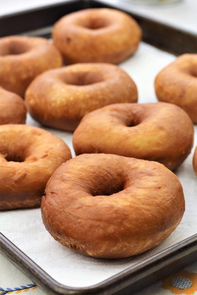 just fried doughnuts on paper towel lined pan