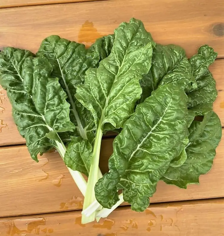 just picked swiss chard leaves fanned on wood table