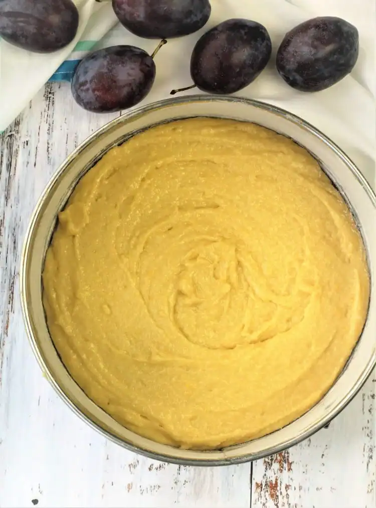 Plum almond cake batter in spring form pan.