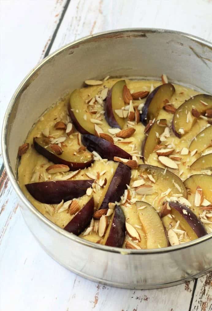 Plum and almond topped almond flour cake in spring form pan.