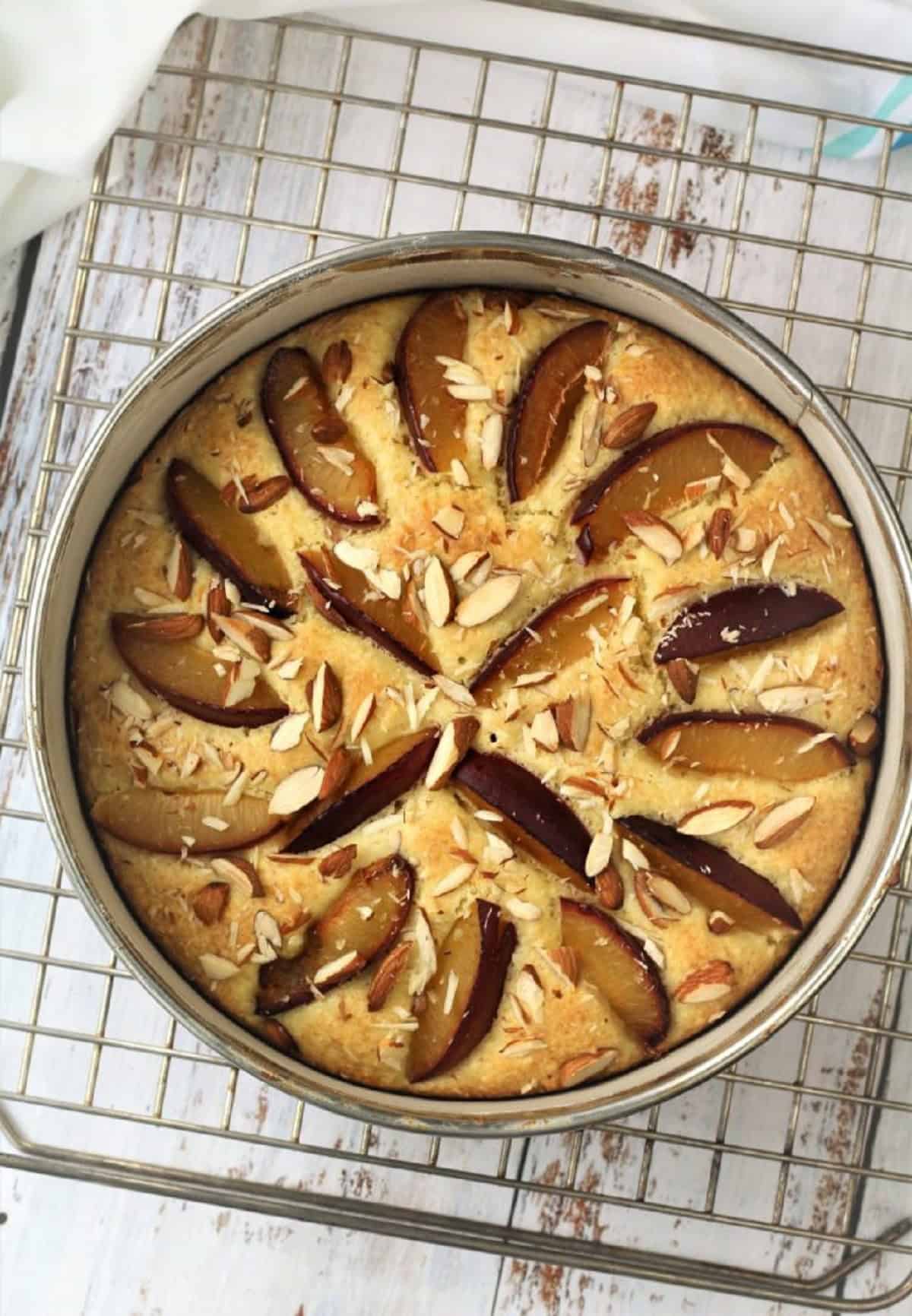Italian plum almond flour cake baked in spring form pan resting on wire rack.