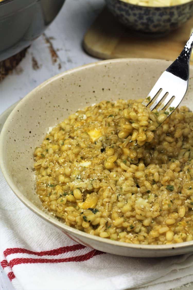 bowl of barley risotto with forkful