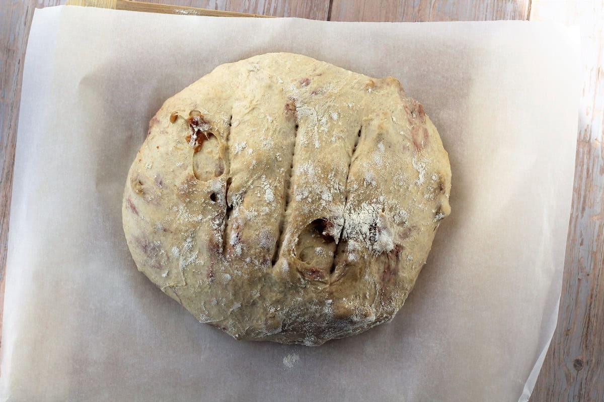 Proofed and scored fig and walnut bread on parchment paper.