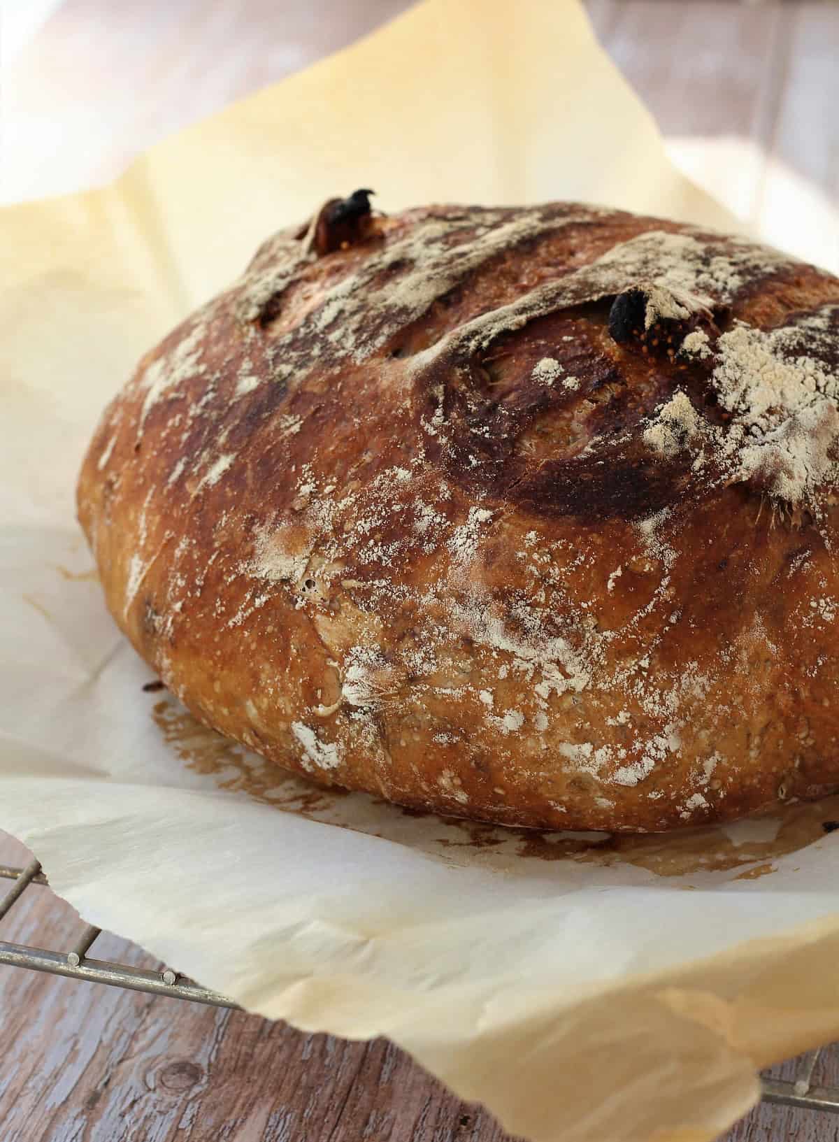 No knead fig and walnut bread.