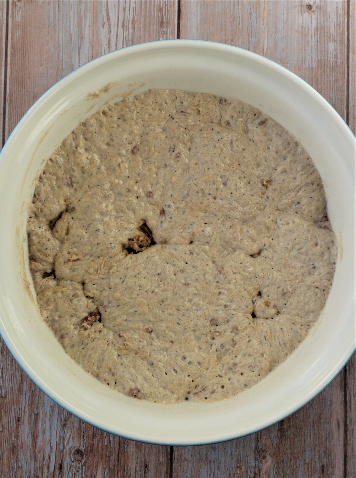 Proofed no knead fig and walnut bread dough in bowl.