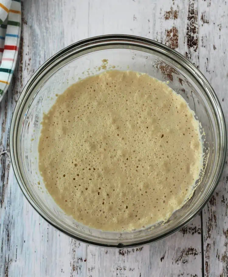 Bowl of foamy yeast and milk.