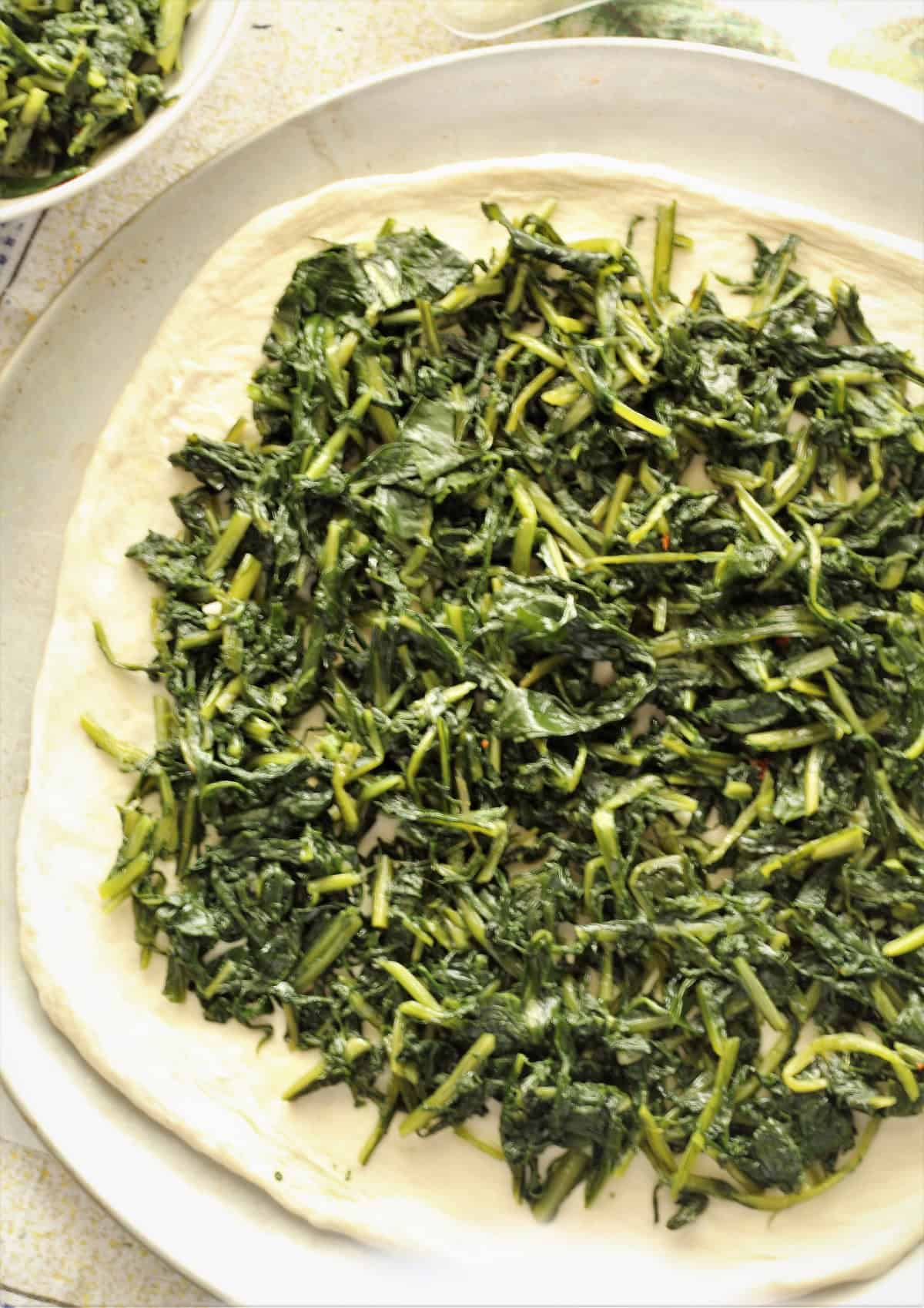 Pizza dough topped with sautéed cicoria on pizza pan.