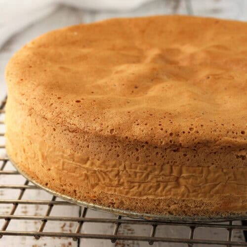 Gluten free Italian sponge cake on wire rack.
