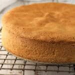 Italian pan di spagna sponge cake on wire rack.