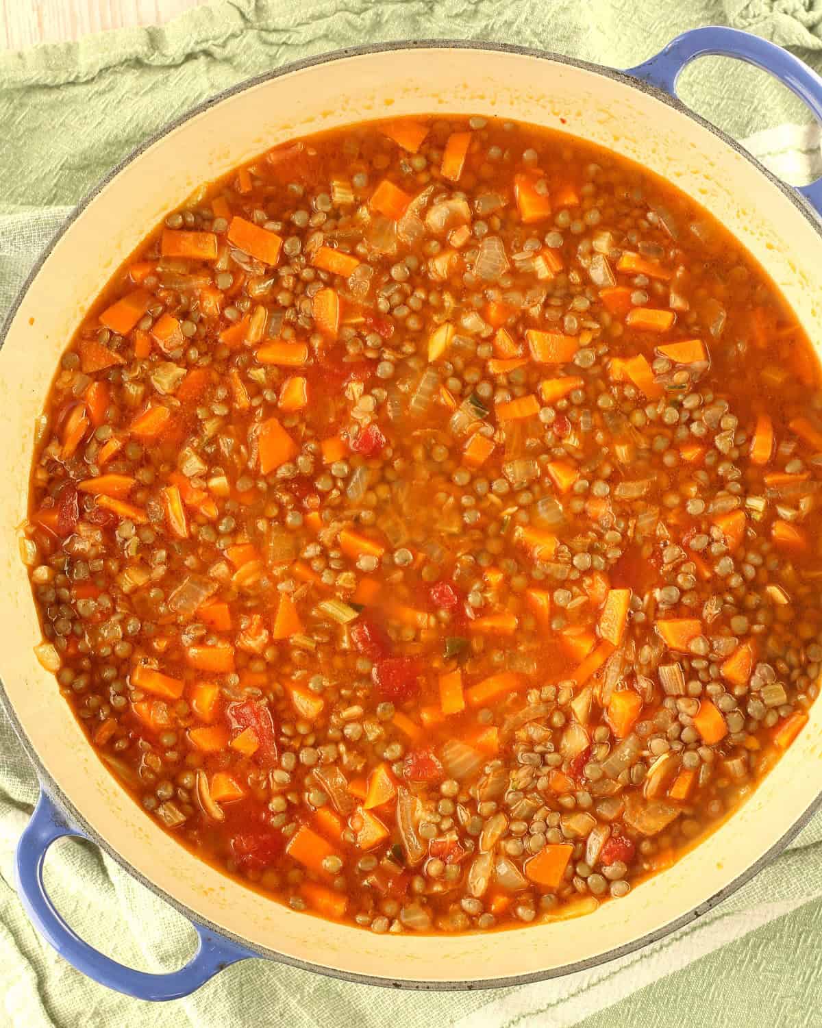 Lentils in tomato sauce for swiss chard rolls filling.