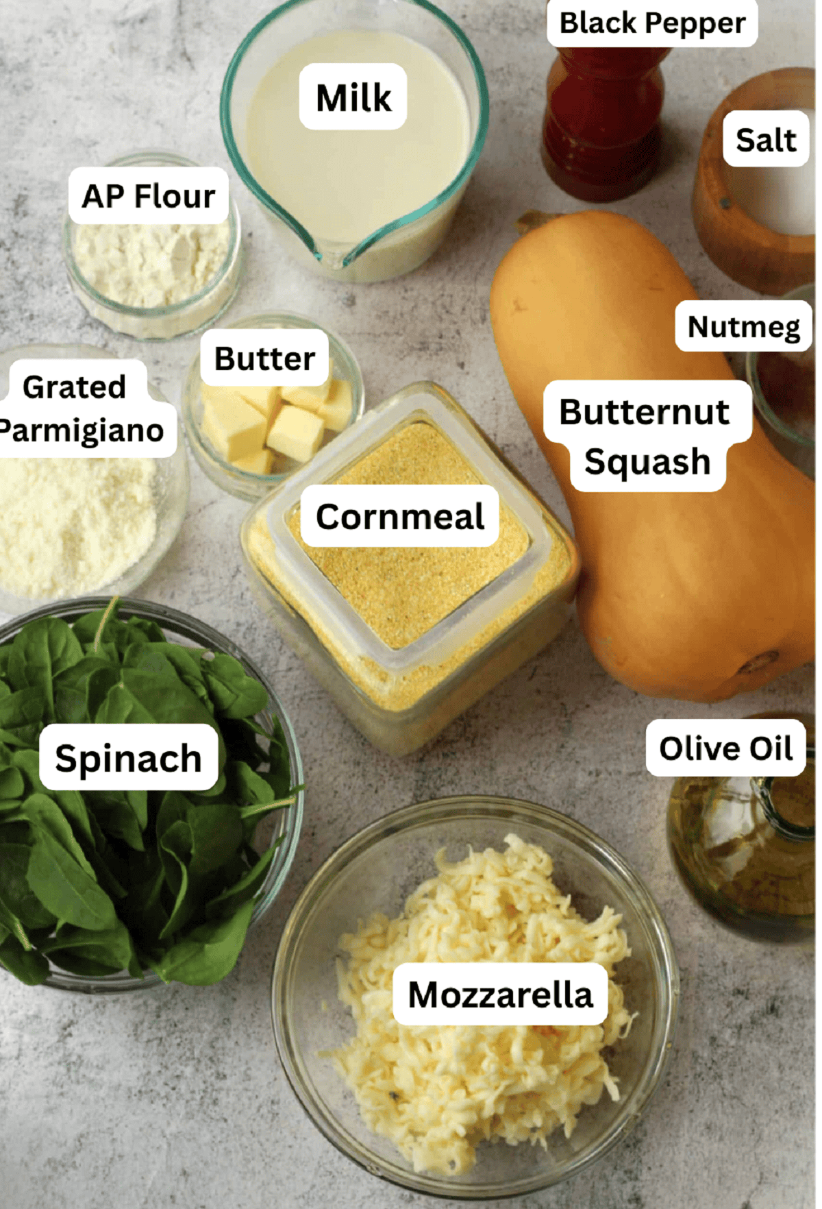 Milk, butternut squash, spinach, mozzarella, cornmeal, olive oil, nutmeg, pepper, salt, flour, butter and Parmigiano cheese.