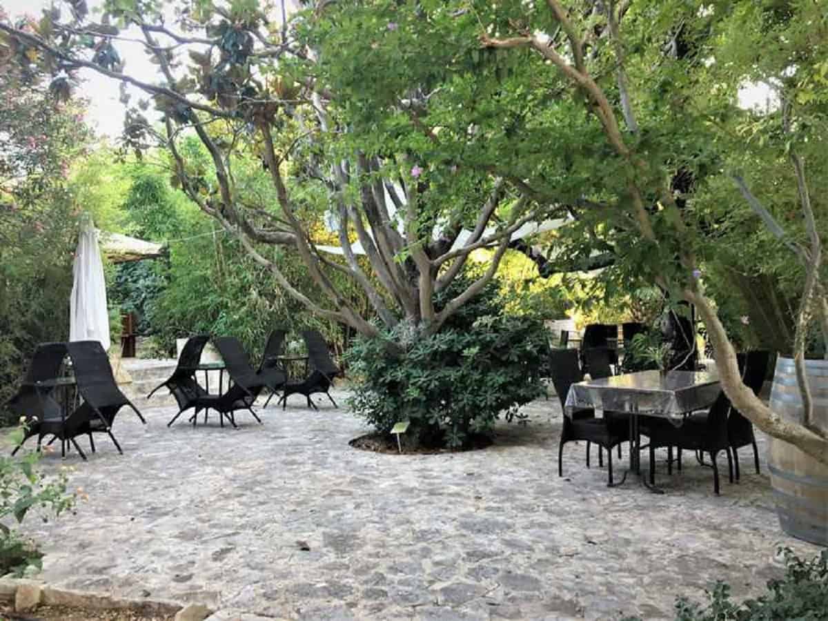 Garden in Trapani, Sicily, with trees and tables.