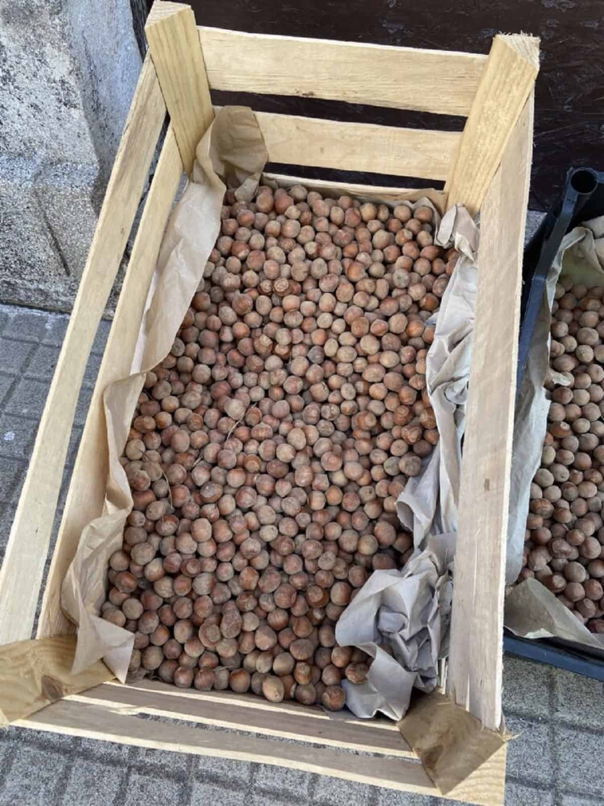 Whole Sicilian hazelnuts in wood crate.