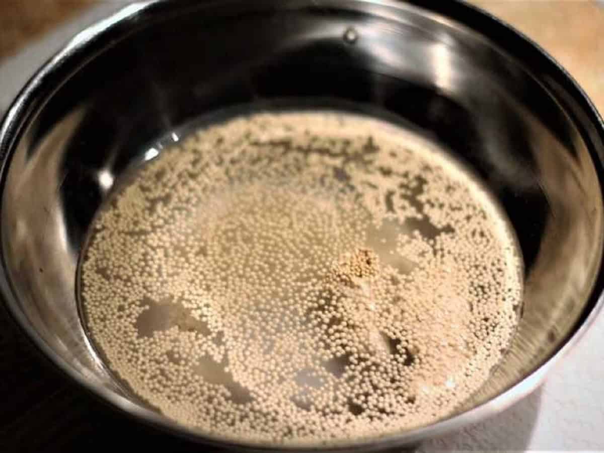 Yeast proofing in bowl with water and sugar.