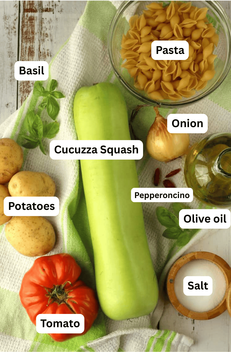 Cucuzza, pasta, onion, oil, salt, tomato, potatoes, basil.